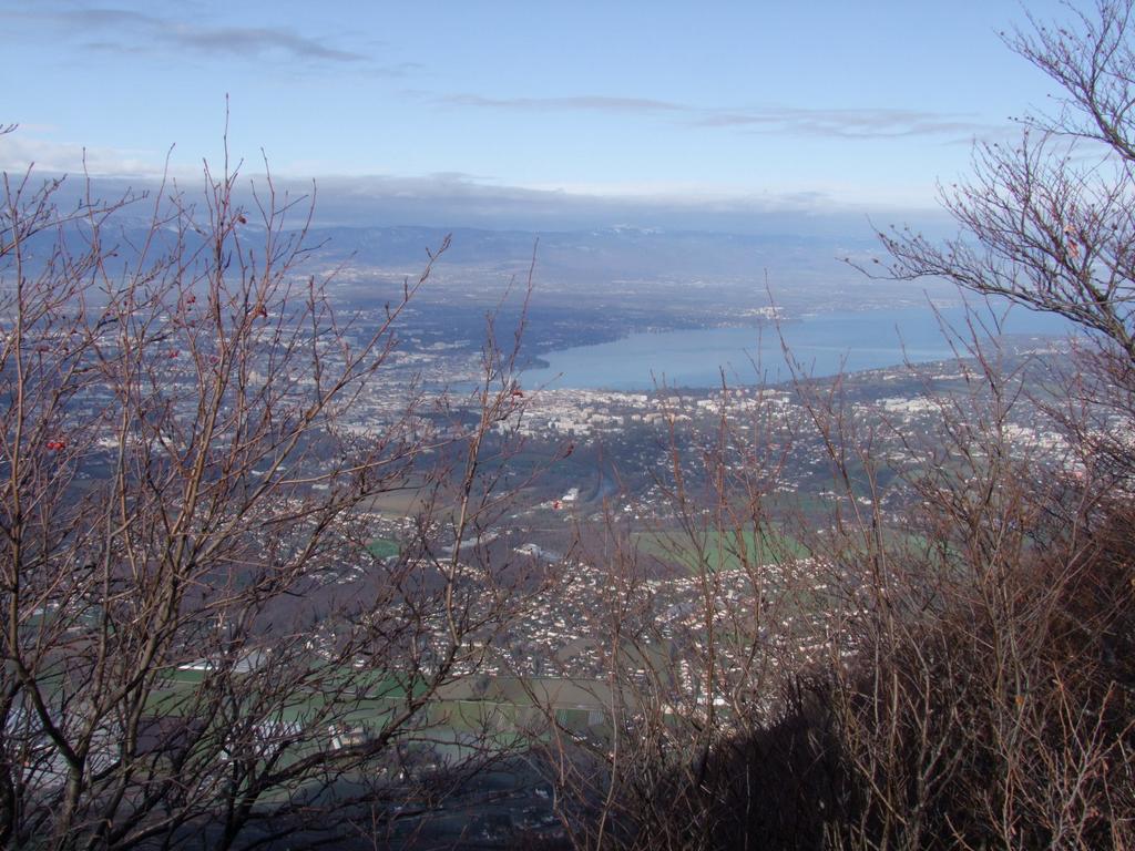 Pour l'image suivante