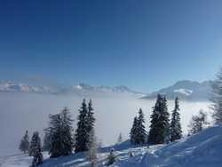 Pour agrandir l'image (1024x768 pixels; 72 KB)