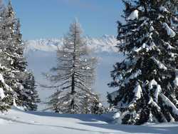 Pour agrandir l'image (1024x768 pixels; 183 KB)