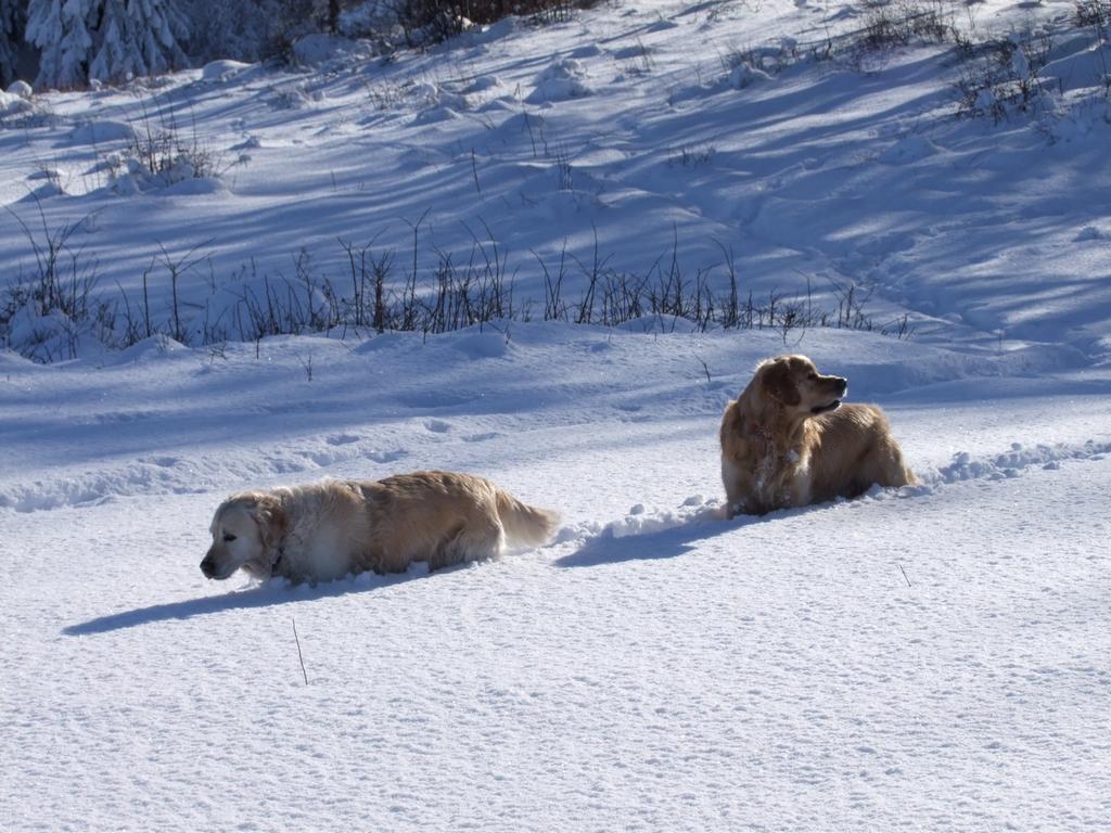 Pour l'image suivante