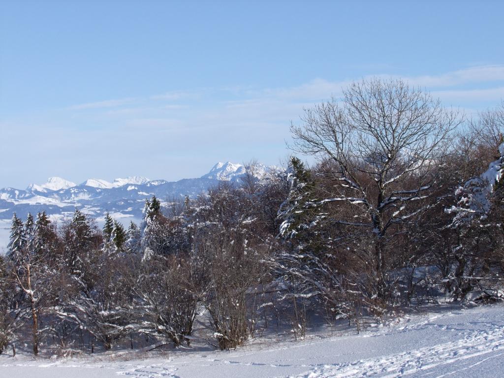 Pour l'image suivante