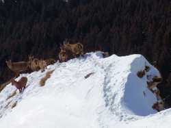 Pour agrandir l'image (1024x768 pixels; 88 KB)