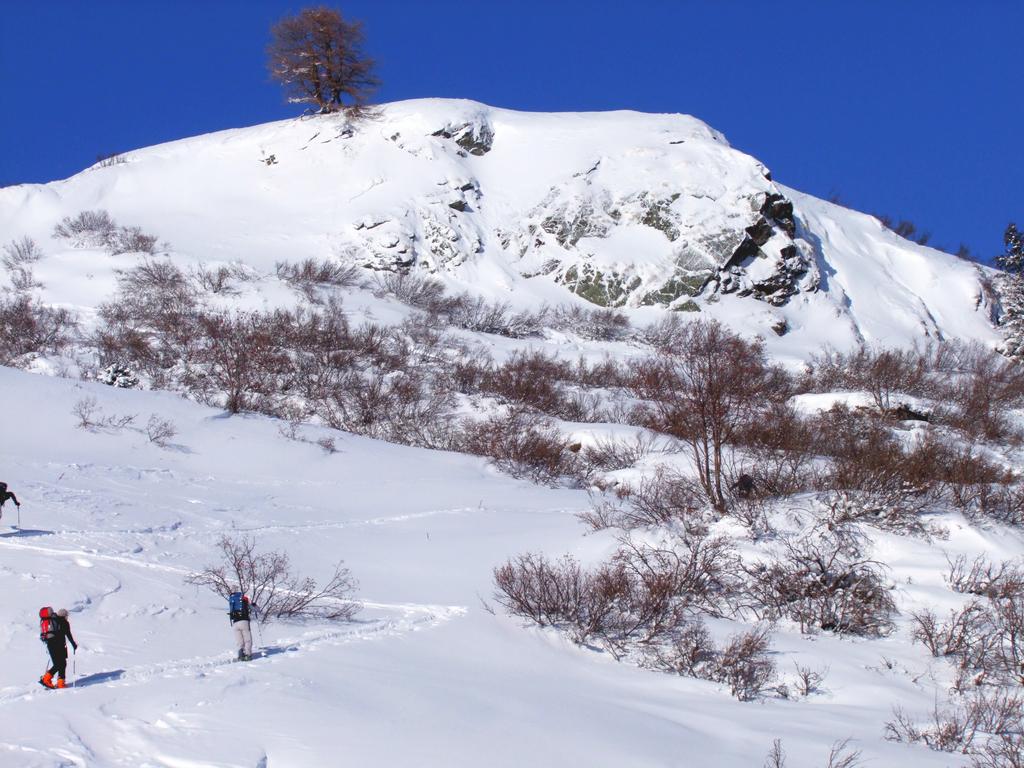 Pour l'image suivante