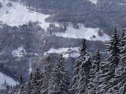 Pour agrandir l'image (1024x768 pixels; 199 KB)