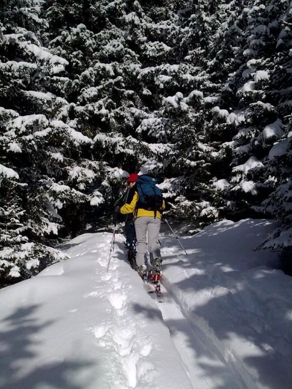 Pour l'image suivante