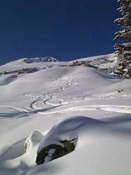 Pour agrandir l'image (576x768 pixels; 52 KB)