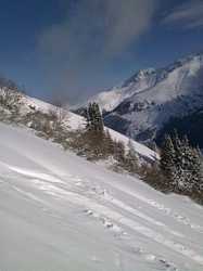 Pour agrandir l'image (576x768 pixels; 60 KB)