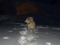 Clic pour agrandir l'image (1024x768 pixels; 75 KB)