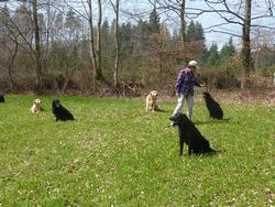 Clic pour agrandir l'image (1024x768 pixels; 263 KB)