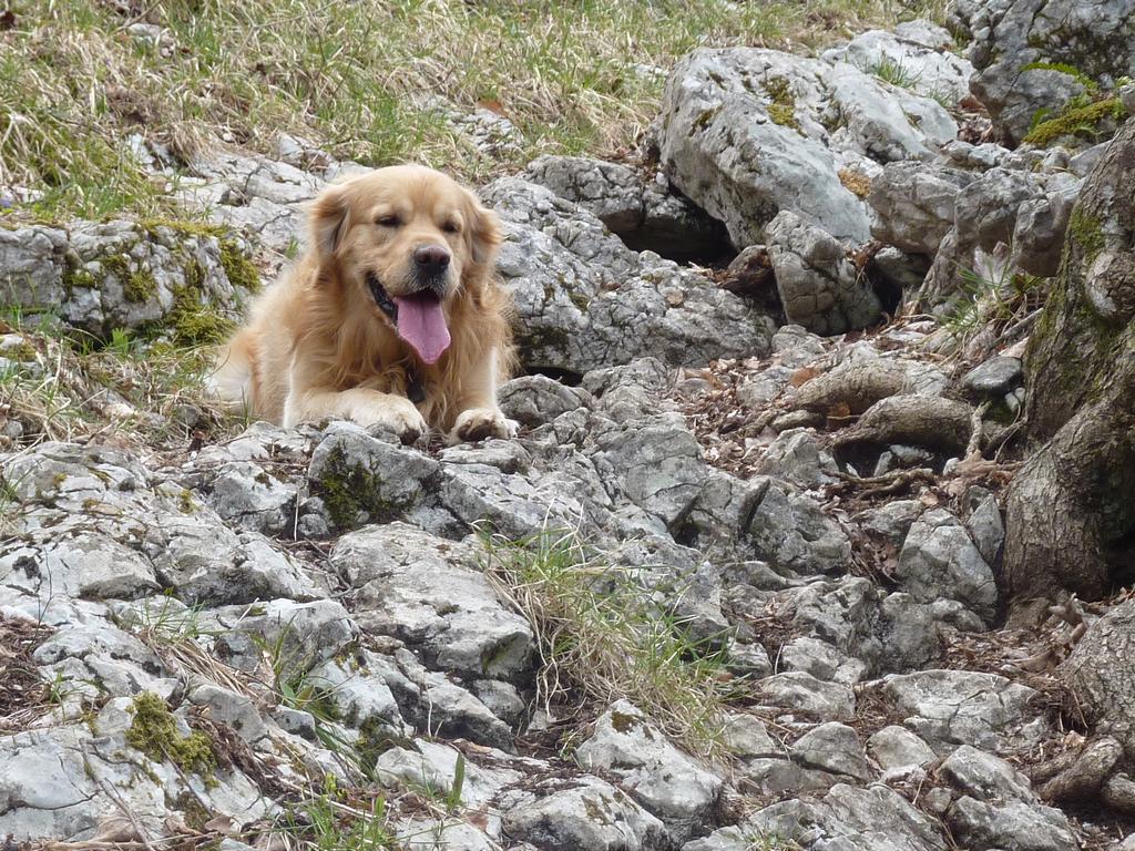 clic ici pour suivante