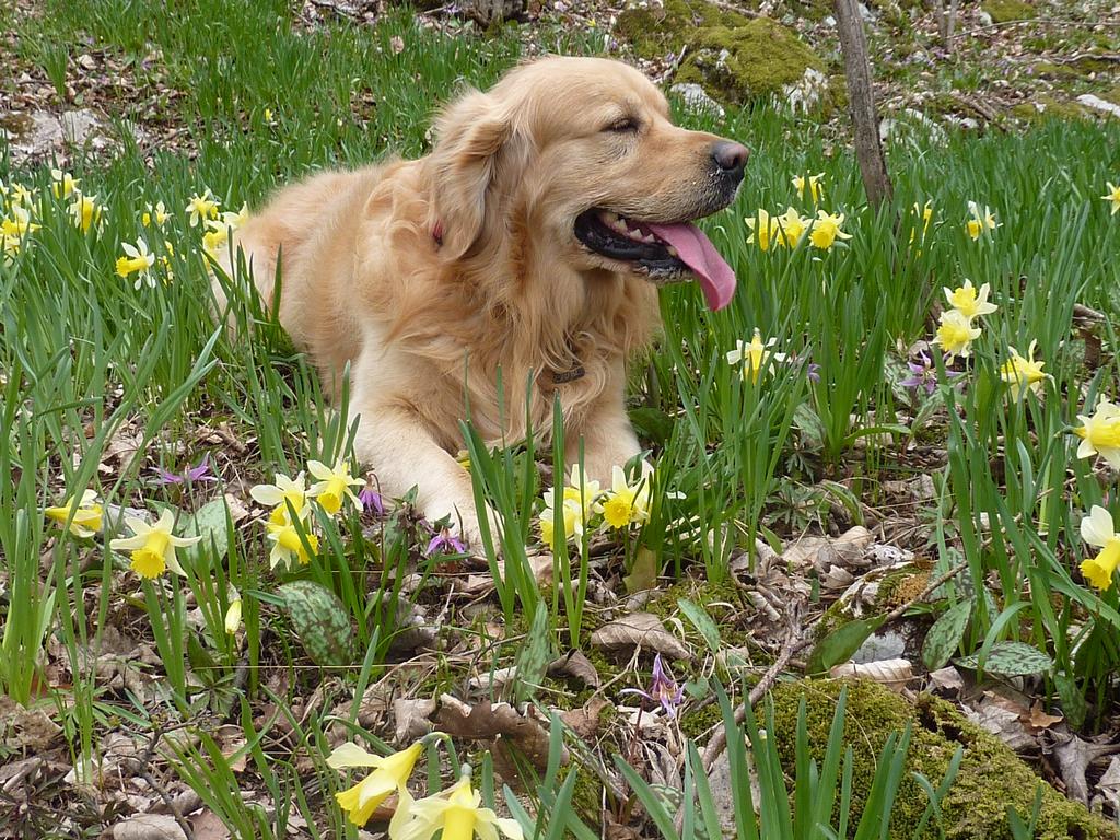 clic ici pour suivante