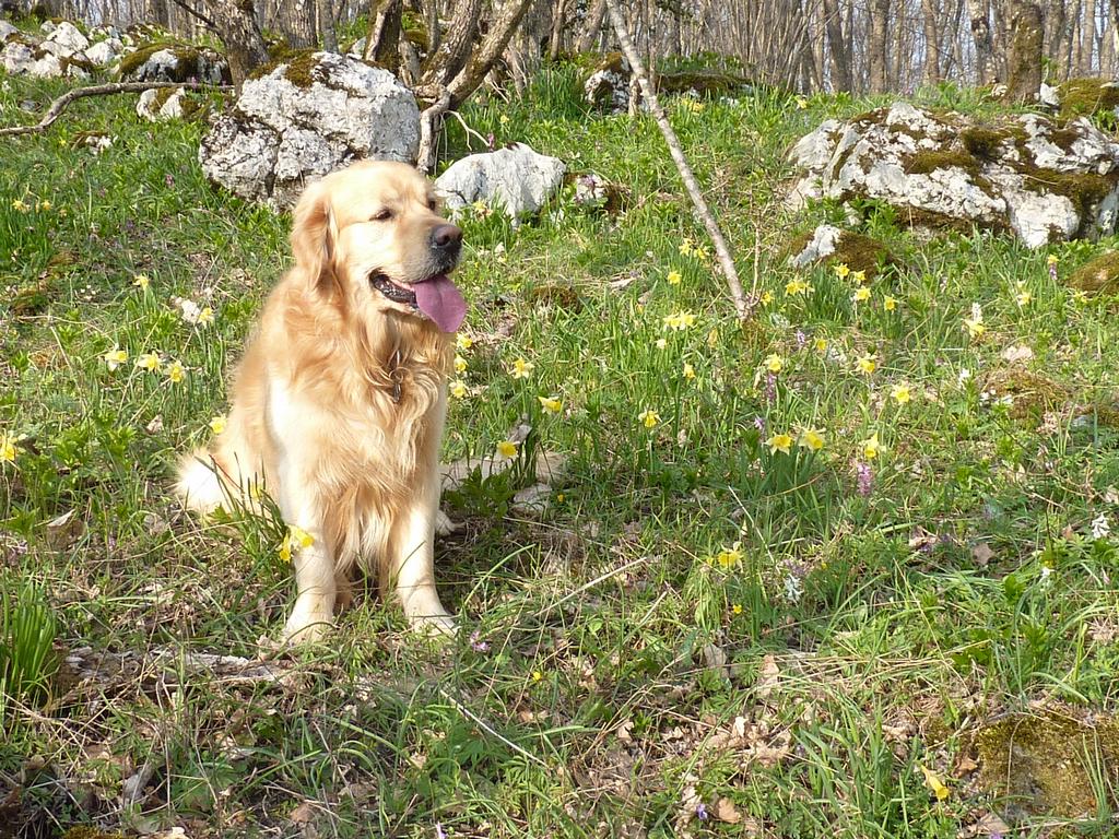 clic ici pour suivante