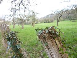 Clic pour agrandir l'image (1024x768 pixels; 157 KB)