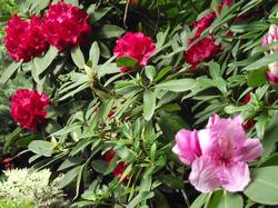 Clic pour agrandir l'image (1024x768 pixels; 214 KB)