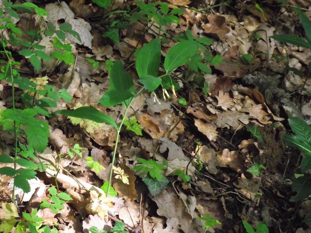 clic ici pour suivante