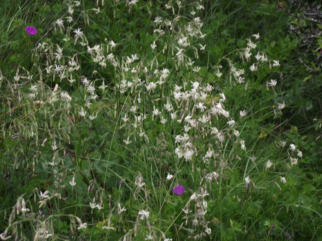 clic ici pour suivante