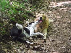 Clic pour agrandir l'image (1024x768 pixels; 249 KB)