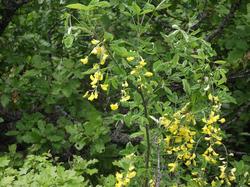 Clic pour agrandir l'image (1024x768 pixels; 231 KB)