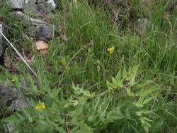 Clic pour agrandir l'image (1024x768 pixels; 202 KB)