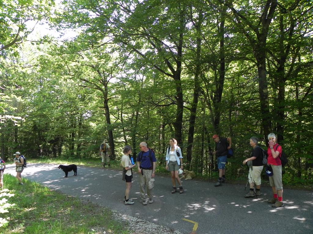 clic ici pour suivante