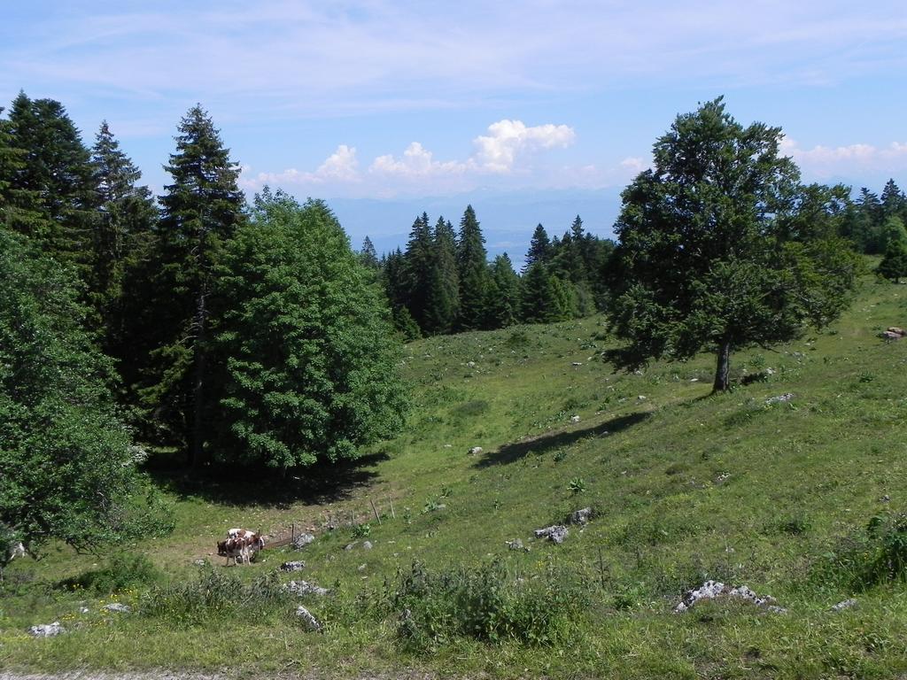 clic ici pour suivante