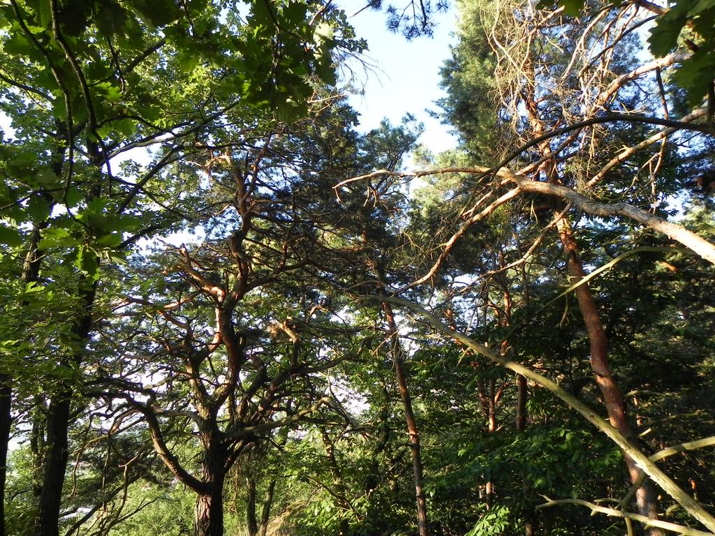 clic ici pour suivante