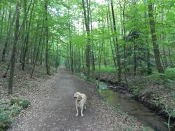 Clic pour agrandir l'image (1024x768 pixels; 171 KB)