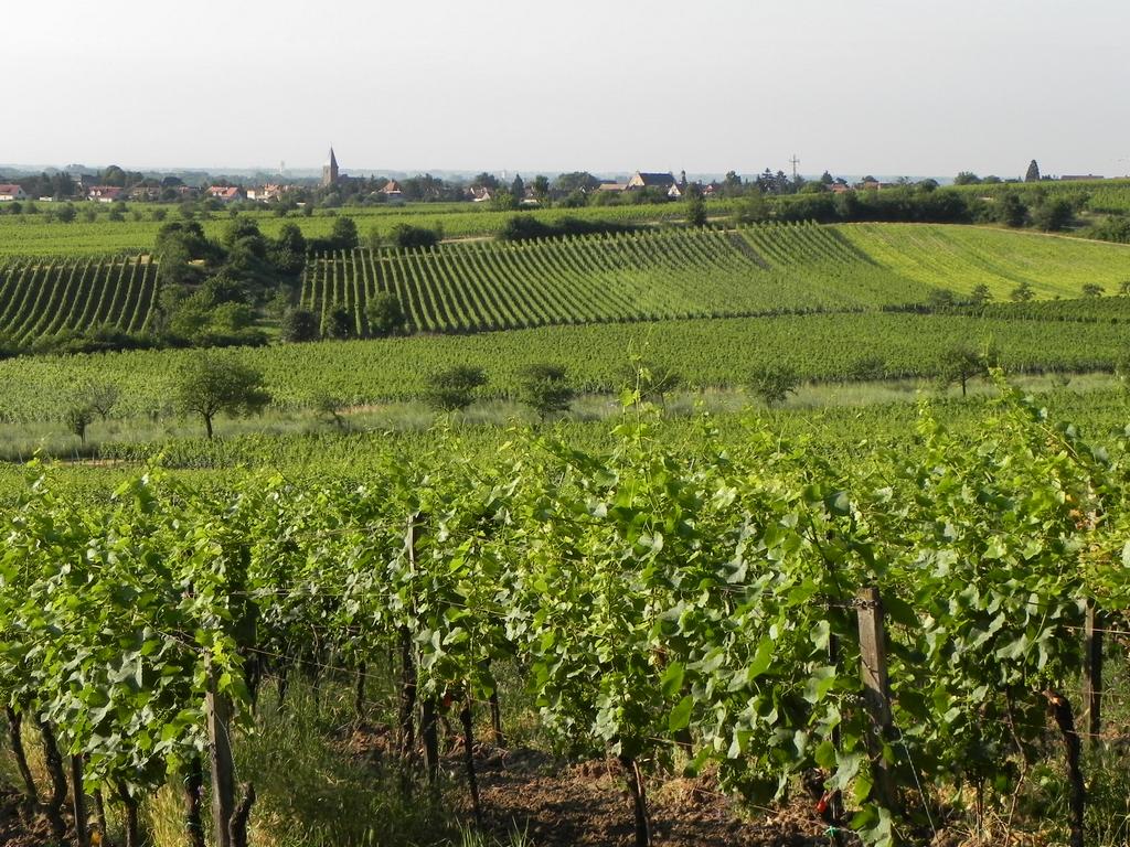 clic ici pour suivante