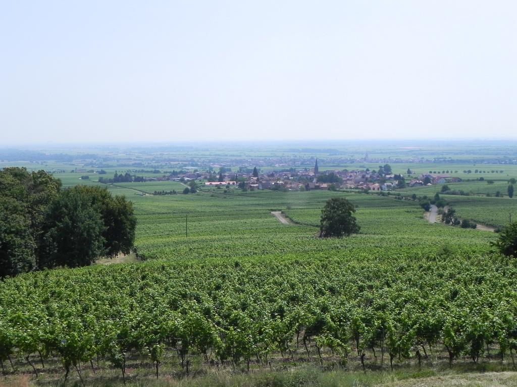 clic ici pour suivante