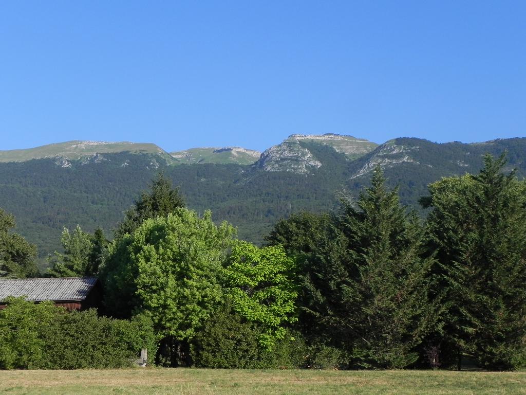 clic ici pour suivante