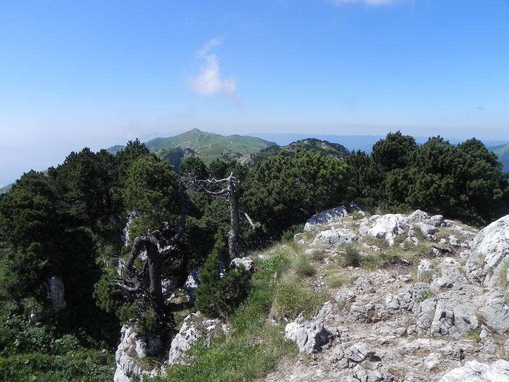 clic ici pour suivante