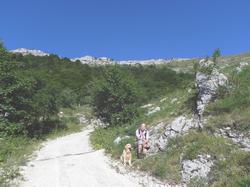 Clic pour agrandir l'image (1024x768 pixels; 140 KB)