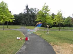 Clic pour agrandir l'image (1024x768 pixels; 147 KB)