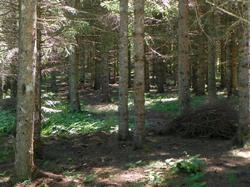 Clic pour agrandir l'image (1024x768 pixels; 164 KB)