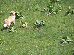 Clic pour agrandir l'image (1024x768 pixels; 180 KB)