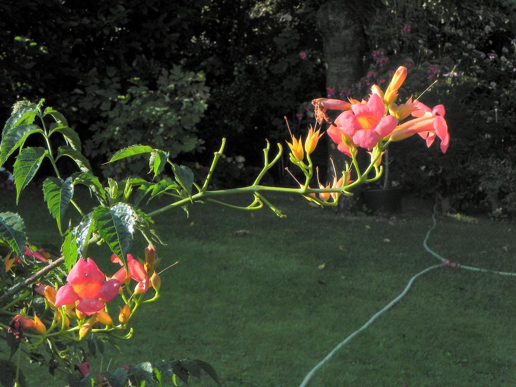 clic ici pour suivante