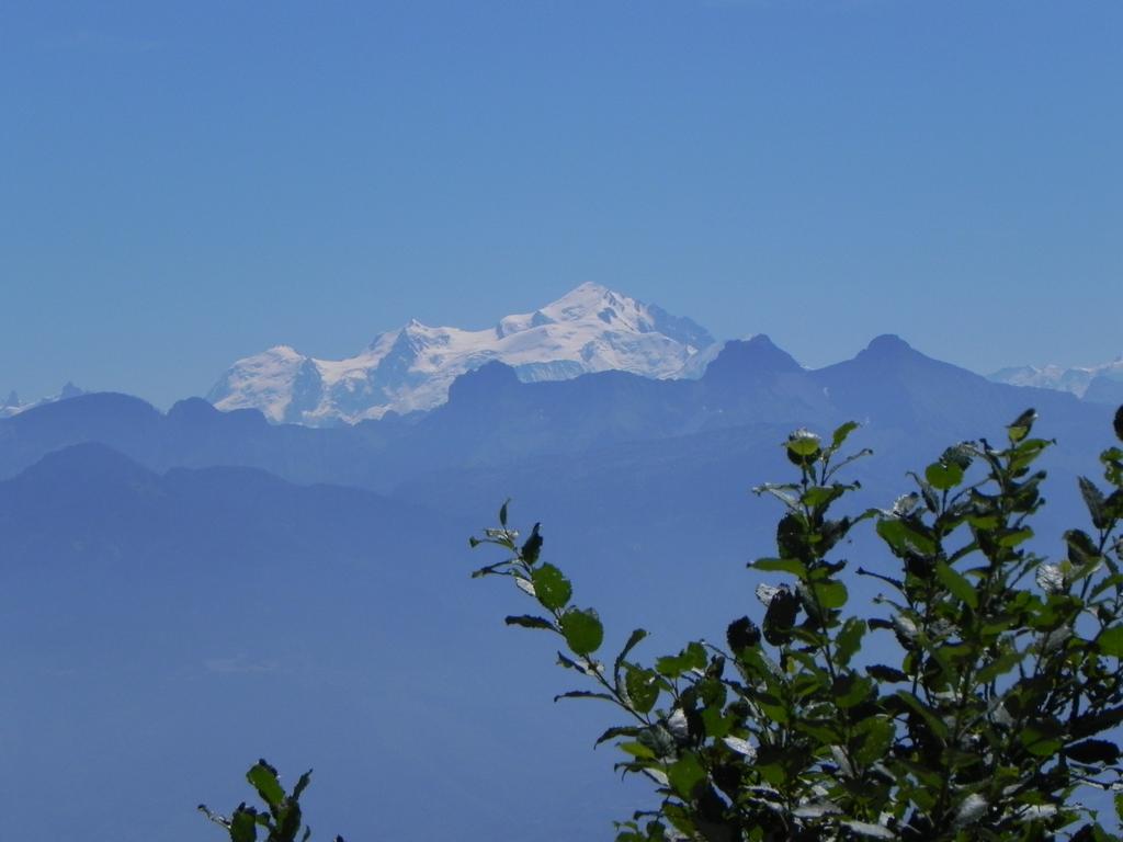 clic ici pour suivante