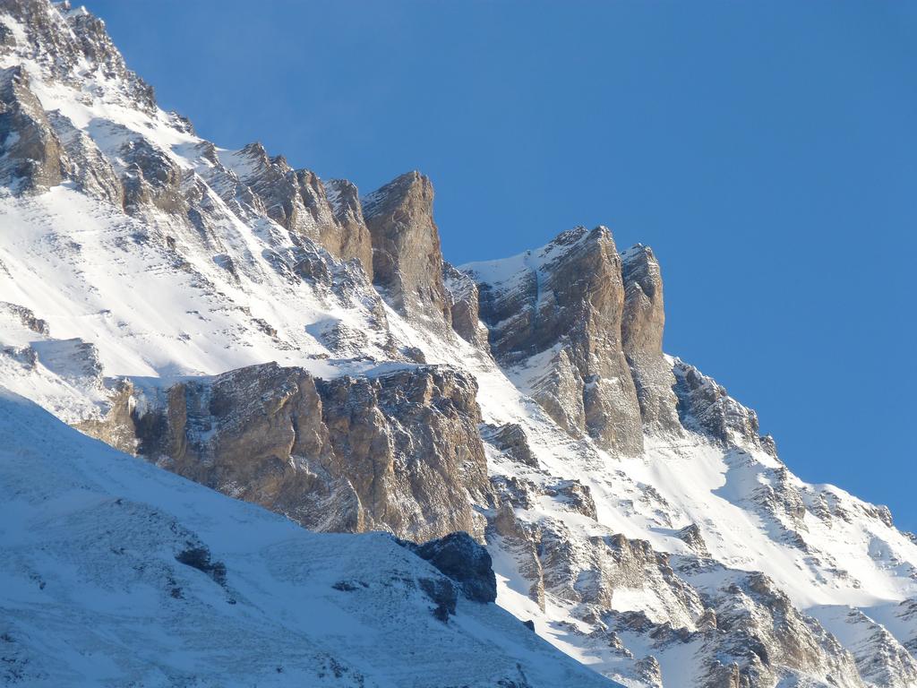 clic ici pour suivante