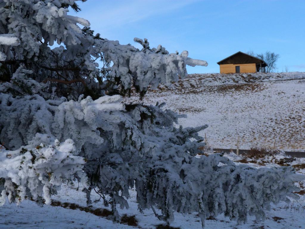 Cliqeu pour voir l'image suivante
