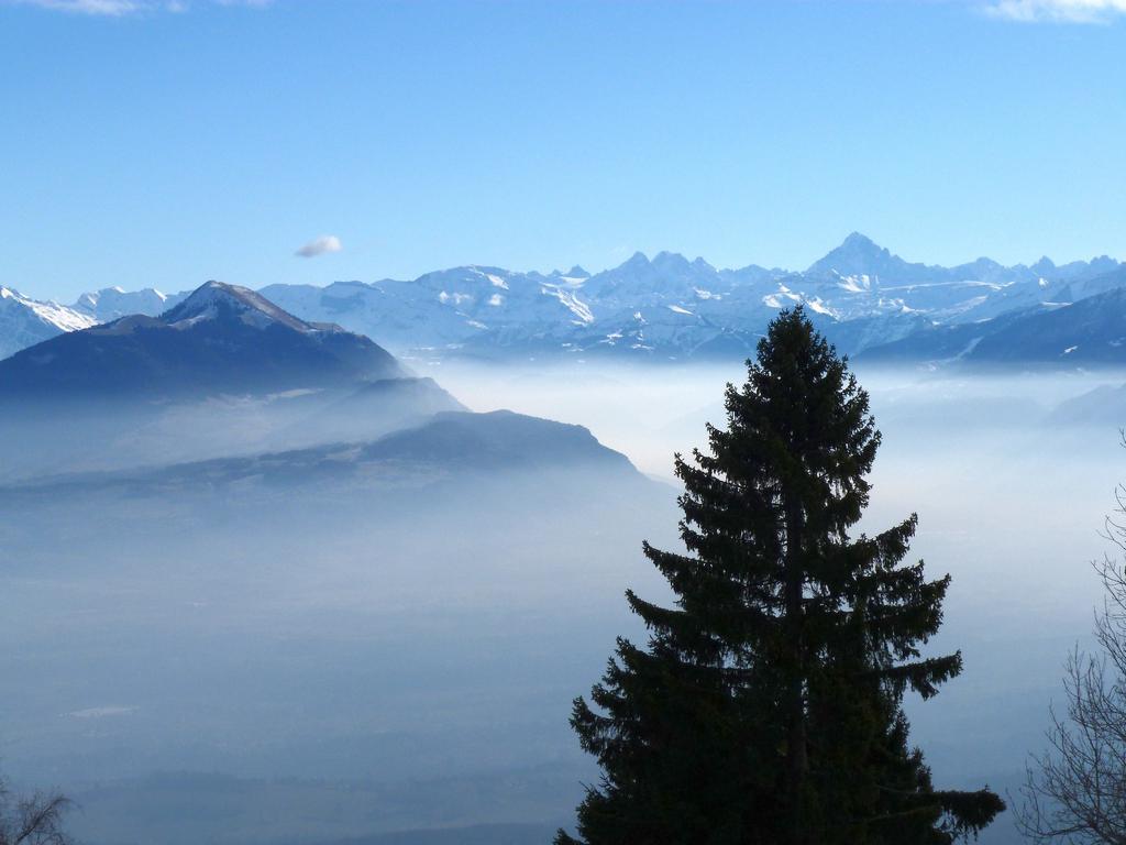 Cliqeu pour voir l'image suivante