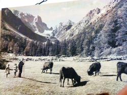 Clic pour agrandir l'image (1024x768 pixels; 138 KB)