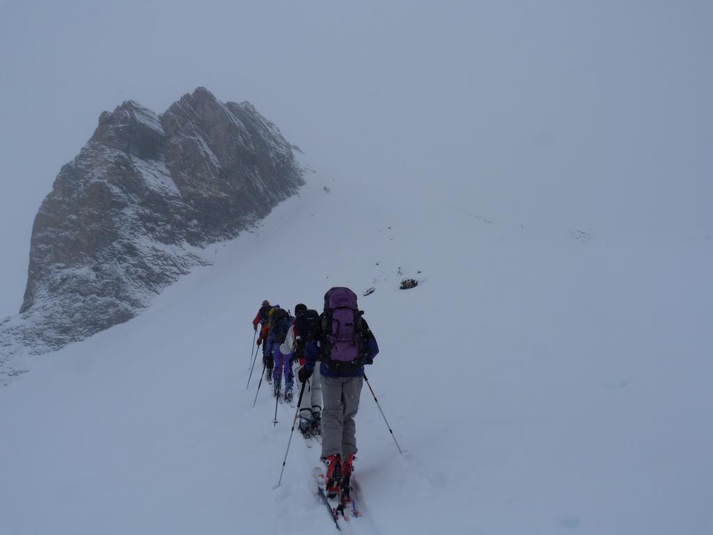 Cliqeu pour voir l'image suivante