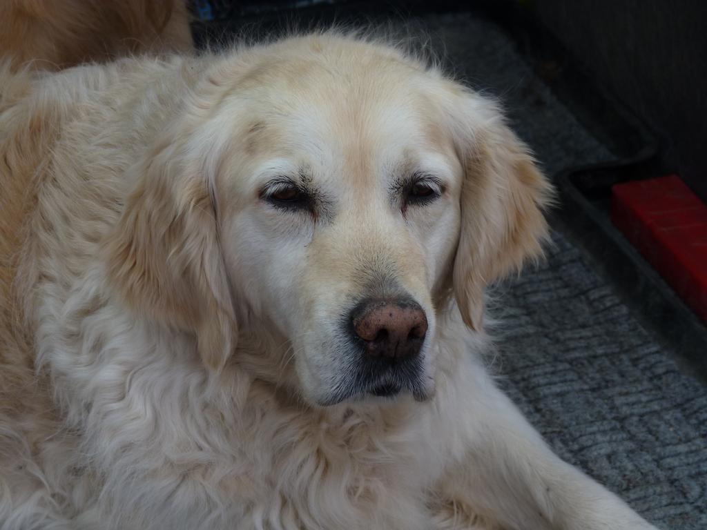 Cliqeu pour voir l'image suivante