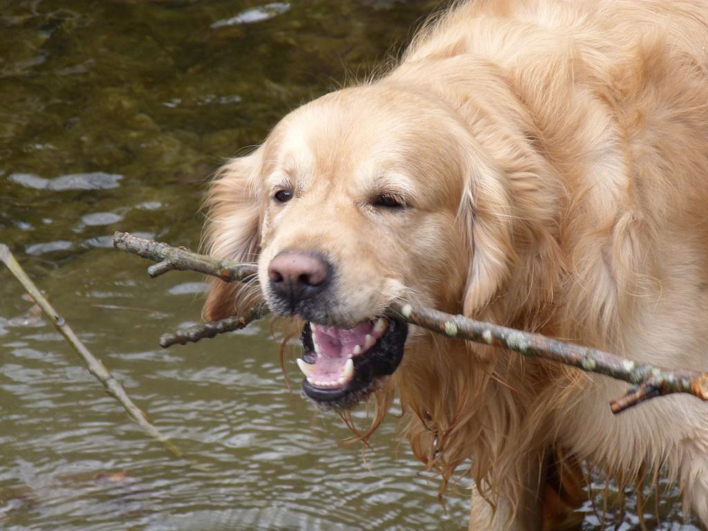 Cliqeu pour voir l'image suivante