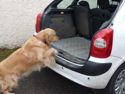 Clic pour agrandir l'image (1024x768 pixels; 111 KB)