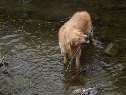 Clic pour agrandir l'image (1024x768 pixels; 129 KB)