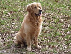 Clic pour agrandir l'image (1024x768 pixels; 244 KB)