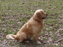 Clic pour agrandir l'image (1024x768 pixels; 260 KB)