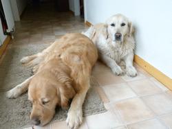 Clic pour agrandir l'image (1024x768 pixels; 87 KB)