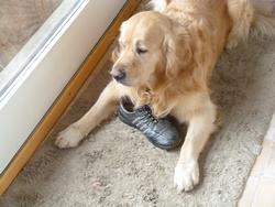 Clic pour agrandir l'image (1024x768 pixels; 109 KB)